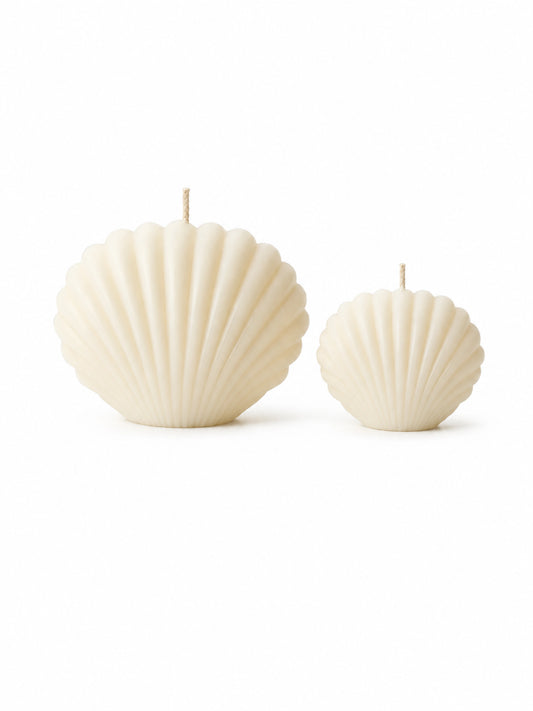Two shell-shaped candles in an off-white cream color, one larger and one smaller, displayed on a seamless white background.