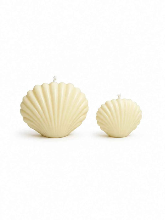 Shell Candle | MPATZAKA